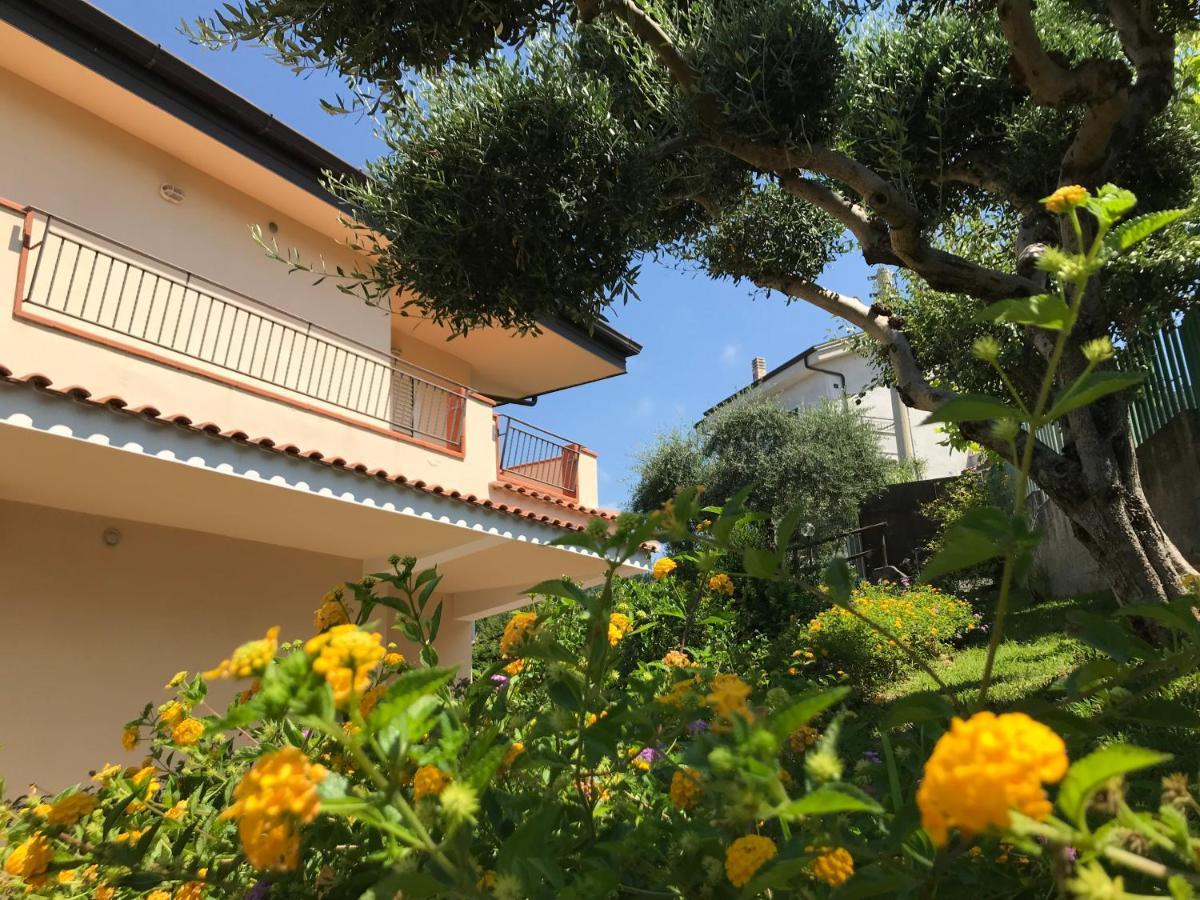 B&B Villa Degli Ulivi Praia a Mare Ngoại thất bức ảnh