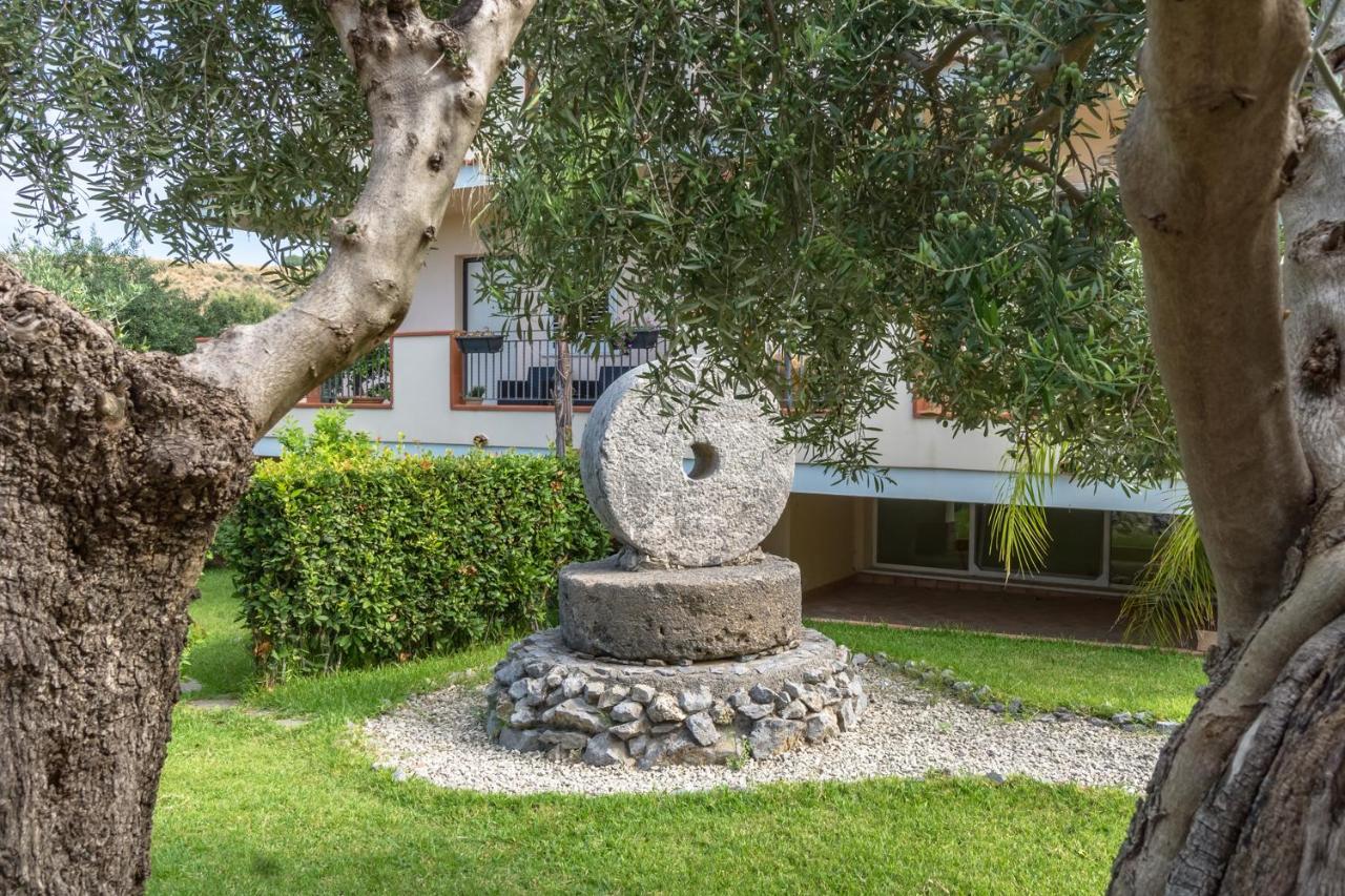 B&B Villa Degli Ulivi Praia a Mare Ngoại thất bức ảnh
